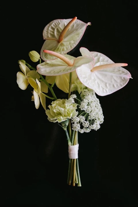 A Tropical Wedding for Aine and Kevin