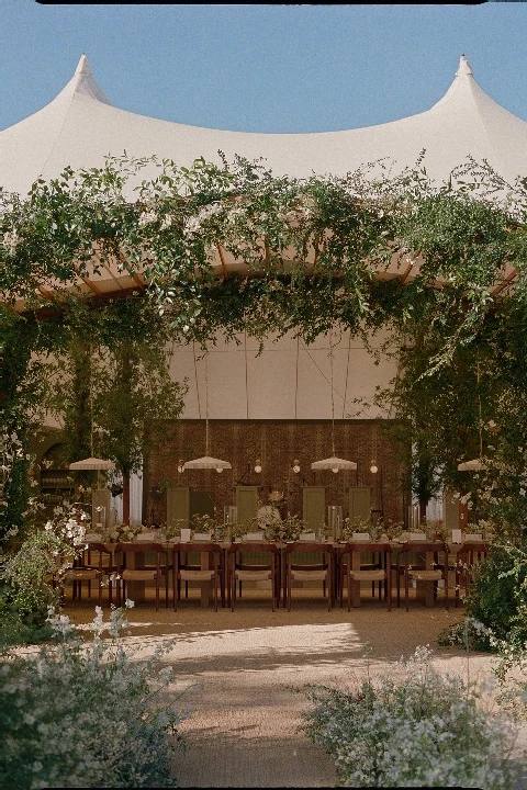 Alison Events