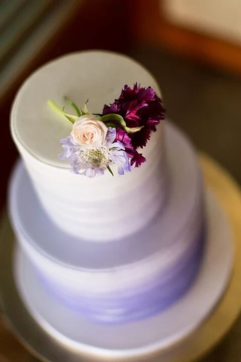Cake Fanatics
