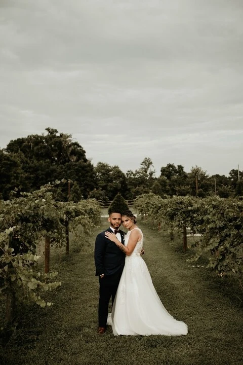 Tuscan Rose Vineyards