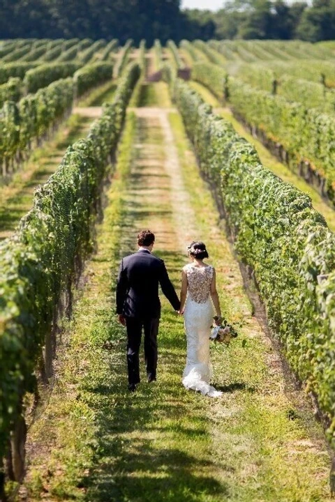 Bedell Cellars